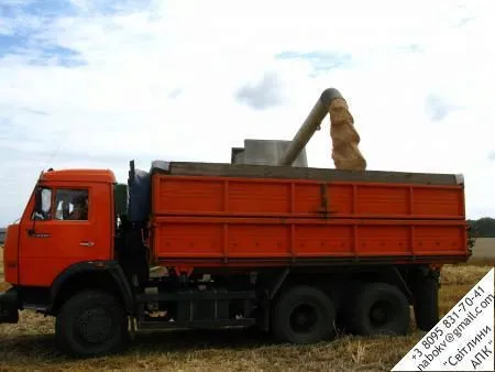 зерновые перевозки в Рязани