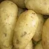 семенной картофель в Элисте