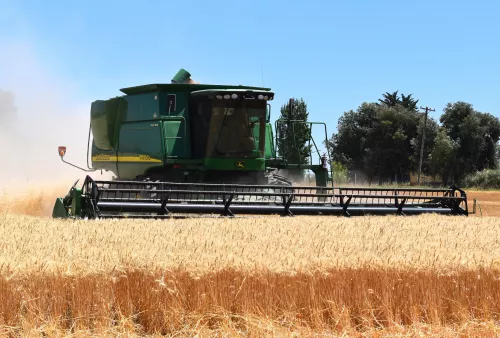 Рязанские аграрии собрали первый миллион тонн зерна