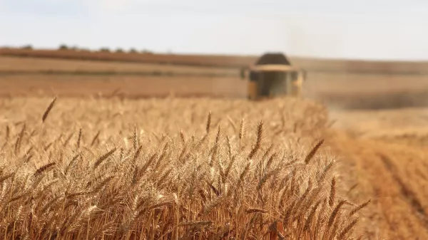 За 2 млн тонн зерна перевалил урожай Рязанской области