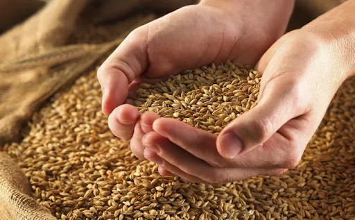 зерно, пшеницу, комбикорм в Рязани и Рязанской области 4