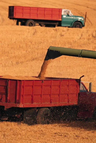 перевозка зерновых в Рязани